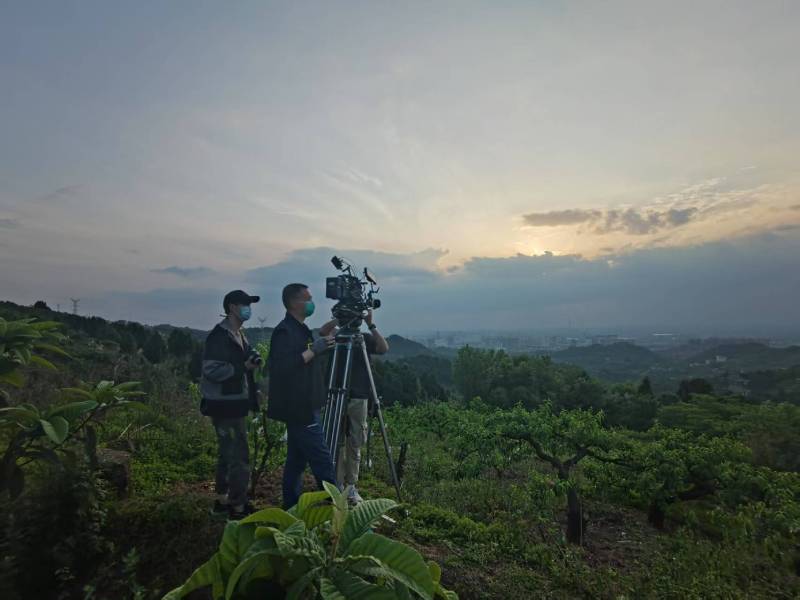 创意破圈！瑞丽市电商产品宣传视频用故事化叙事引爆流量