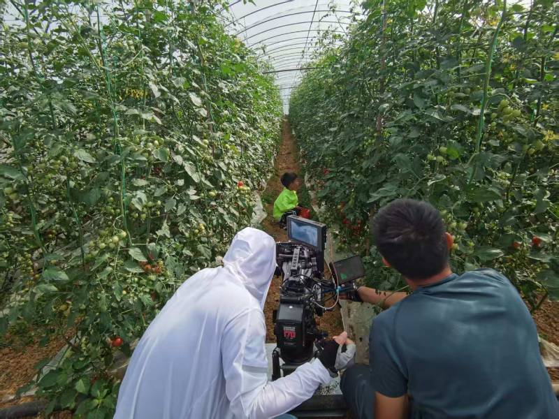 瑞丽市产品宣传视频拍摄公司进阶指南，助力品牌抢占传播高地